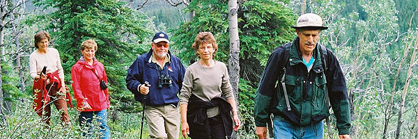 Jim Bishop | A dazzling experience in the Land of the Midnight Sun