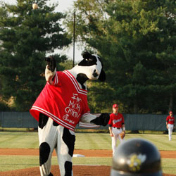 He 2012 Chick-Fil-A Cow Calendar Program