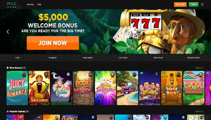 Wild Casino Bitcoin Canada