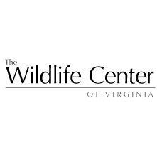 wildlife center of virginia