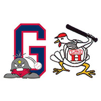 waynesboro generals harrisonburg turks