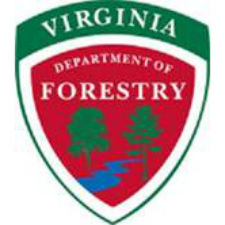 virginia department of forestry