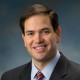 marco rubio
