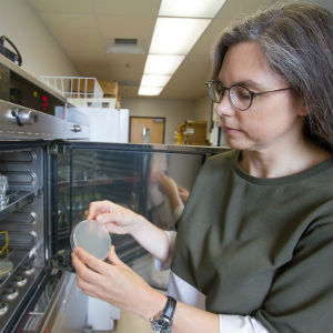 Biocomplexity Institute fellow and assistant professor Silke Hauf will lead research efforts to identify genetic factors that prevent dangerous fluctuations in cellular composition.