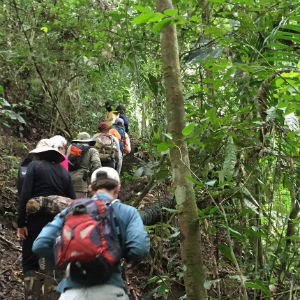 Students and guides hike in Ecuador. Photo by Emily Reasor.