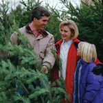 Virginia Grown Christmas tree