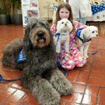 dogs on call
