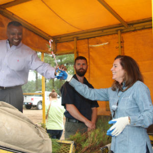 2 billionth tree seedling