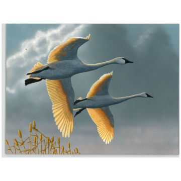 USFWS announces winner of National Junior Duck Stamp Art Contest ...