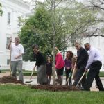 mcauliffe arbor day
