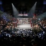 wrestling boxing mma