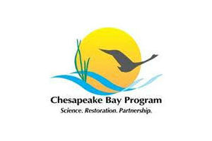 chesapeake bay program