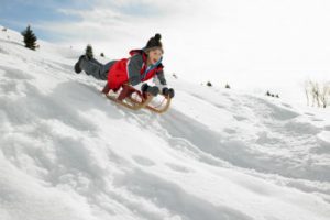 Snow sled