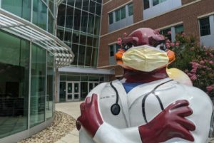 Virginia Tech Carilion School of Medicine