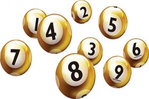 lottery bingo