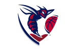 shenandoah basketball