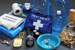 first aid disaster kit emergency