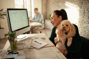 dog pet friendly office business