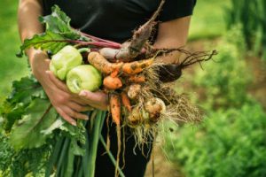 organic foods