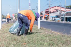 road litter