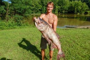 asian carp invasion