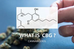 cbg