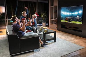 sports renovation