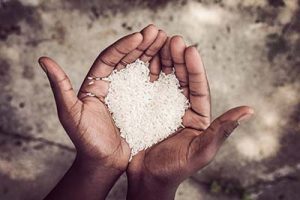 rice