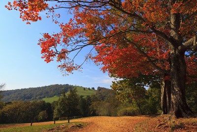 Grunley Construction hired for Albemarle courts project Augusta Free