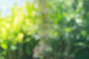 wire screen black