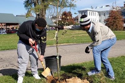 Tree Planting