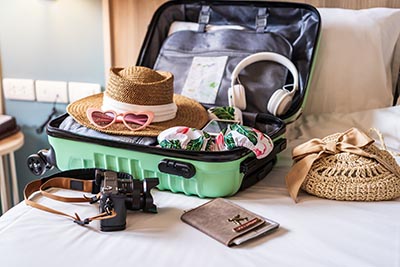 traveler suitcase