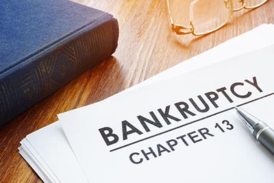 Chapter 13 bankruptcy petition and book