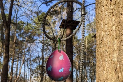 Adventure Park at Virginia Aquarium ready for Easter Egg Hunt in the Trees