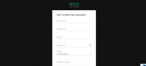 Wild Casino details