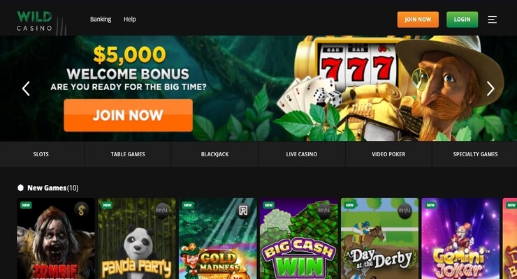 Wild Casino gambling site homepage
