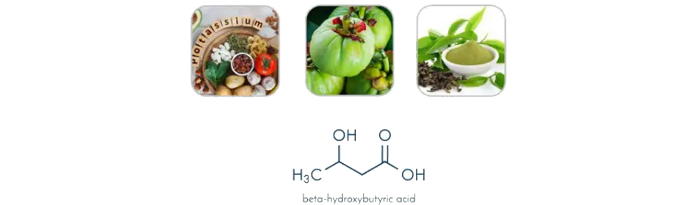 KetoGoketo Capsules Ingredients – What do Goketo Capsules contain?