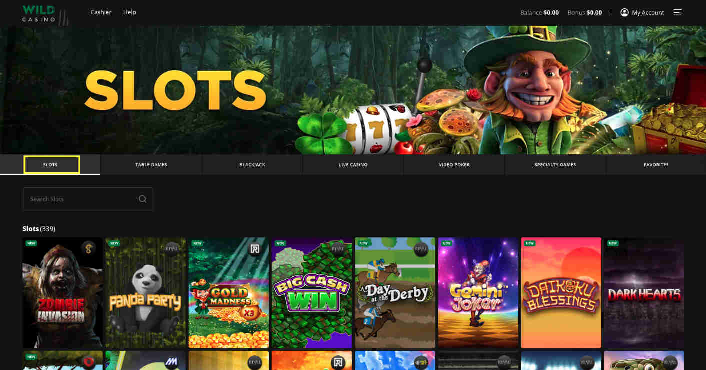 wild casino slots games