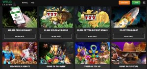 wild casino bonus codes page