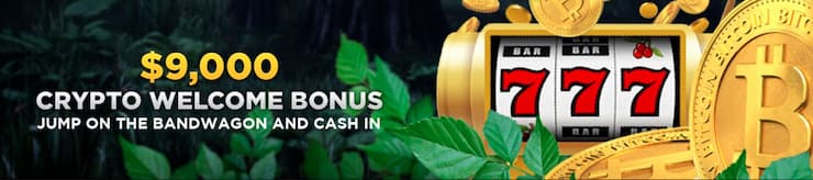 wild casino crypto bonus
