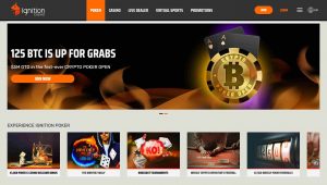 Ignition Online Poker