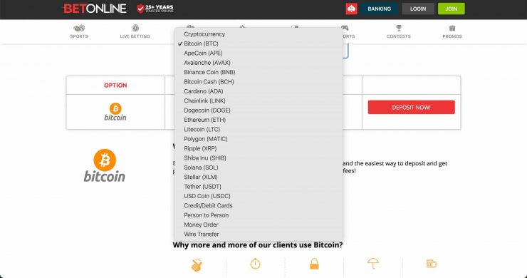 BetOnline Payment Options