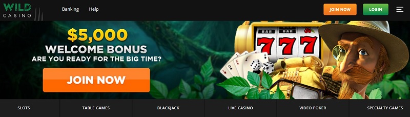 Nevada Wild Casino Homepage
