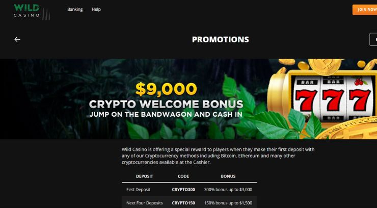 Wild Casino Crypto bonus page
