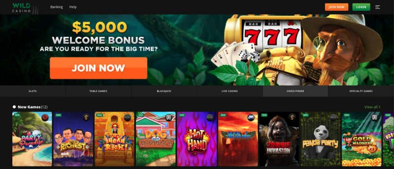 Wild Casino Online Homepage