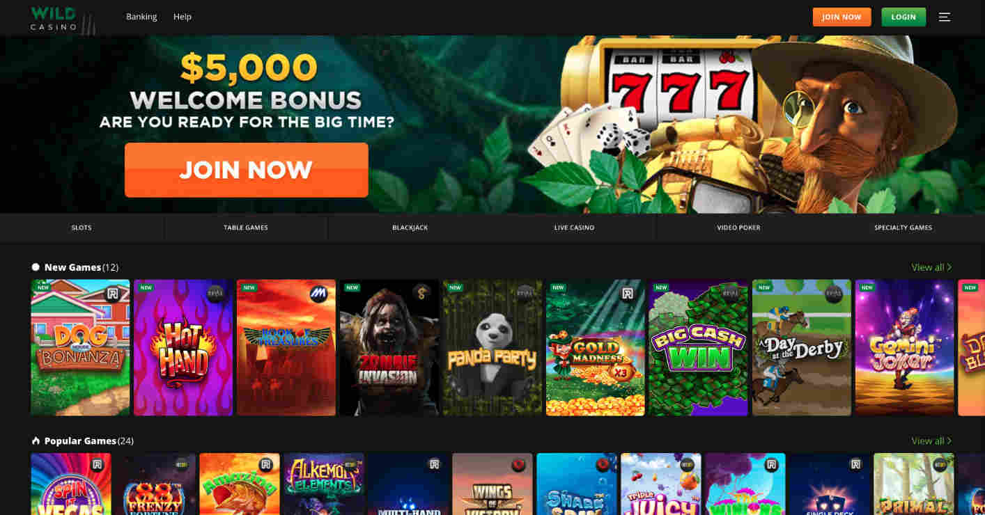 Wild Casino Online