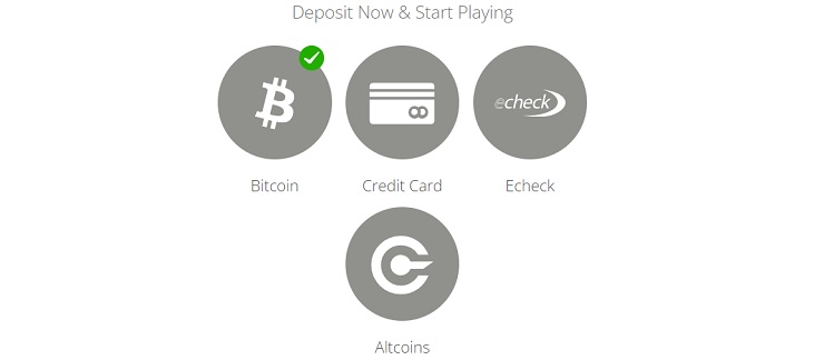 Wild Casino deposit options