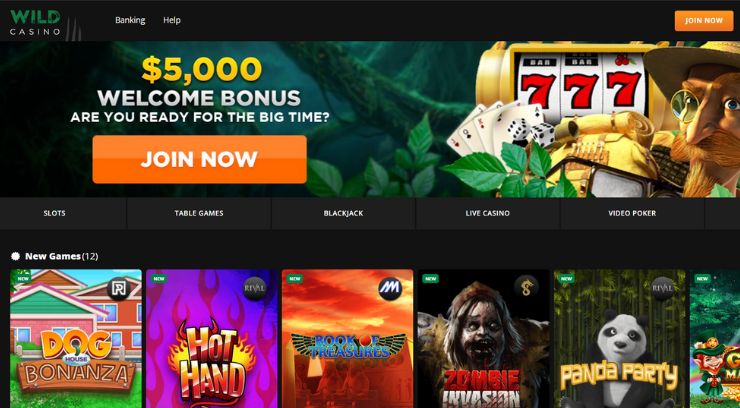 Wild Casino homepage