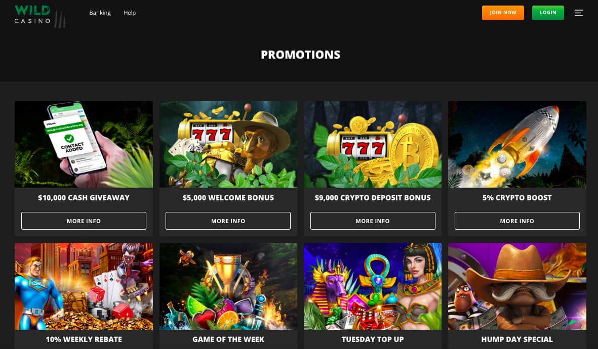 Wild Casino welcome promotions US