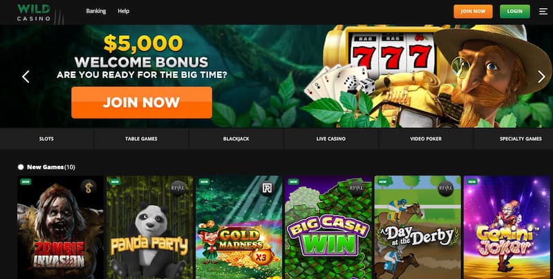 wild casino homepage